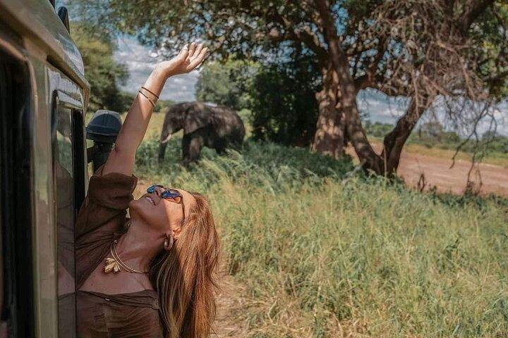 1. Safaris de um dia para Mikumi de trem de dar es salaam