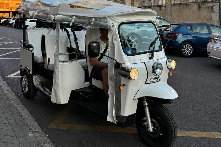 Visite panoramique privée de 2 heures en tuk tuk