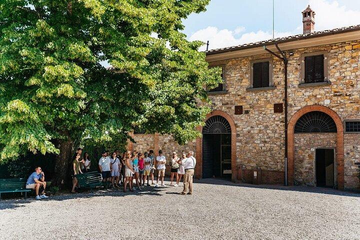 Almuerzo o cena para grupos pequeños de bodegas toscanas, aceite de oliva y gourmet