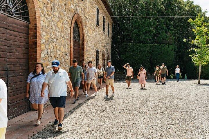 Almuerzo o cena para grupos pequeños de bodegas toscanas, aceite de oliva y gourmet