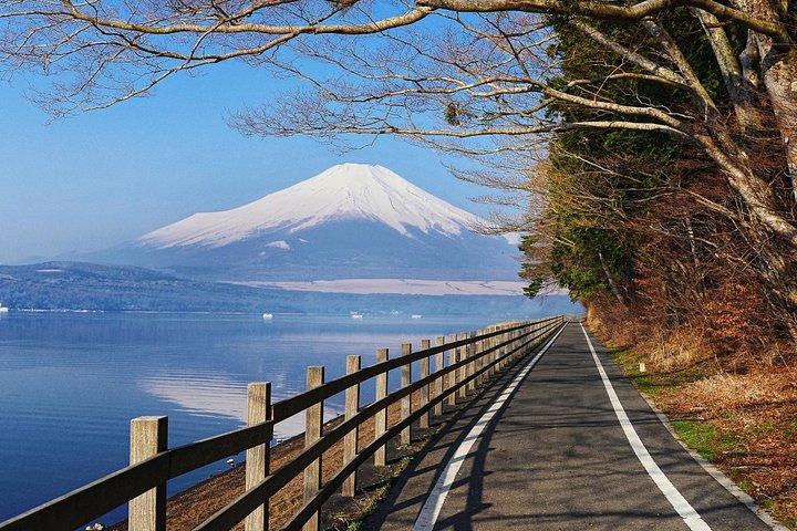 東京発 プライベート富士山＆富士五湖ツアー