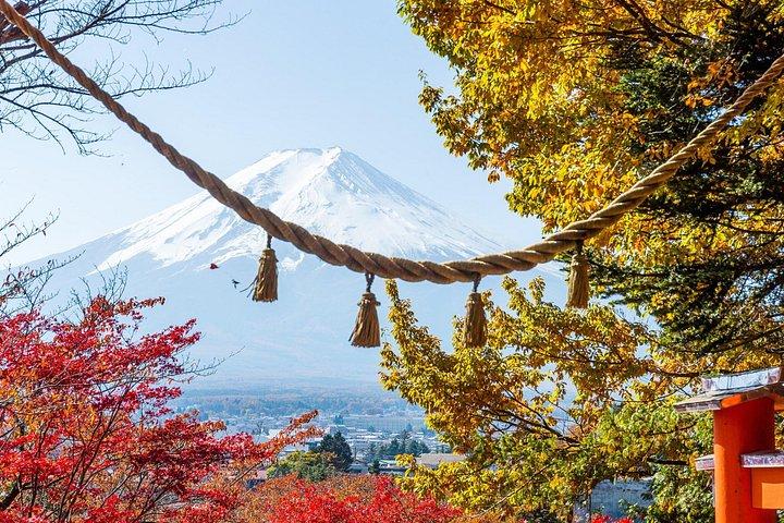 東京発 プライベート富士山＆富士五湖ツアー