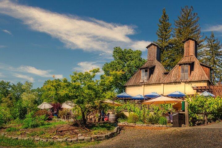 San Francisco: Armstrong Redwoods e Wine Tour com degustações