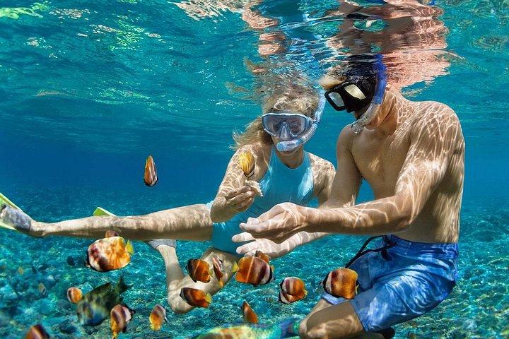 オールインクルーシブ バリ ブルー ラグーンとタンジュン ジェプン シュノーケリング