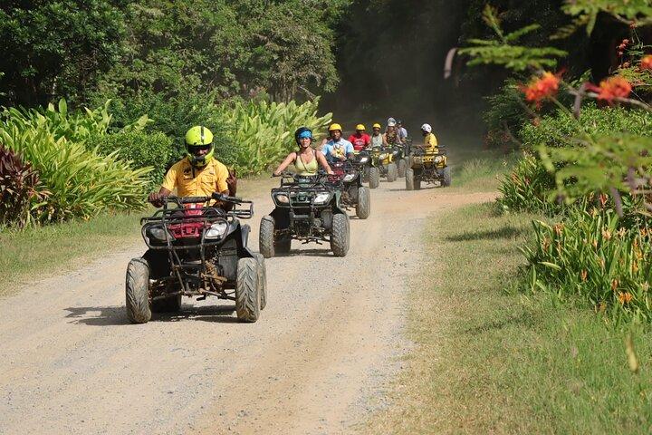 Roatan Private Inselrundfahrt In Honduras