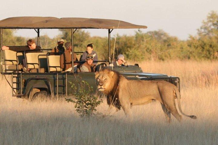 Ganztägige Tour zum Hluhluwe-Imfolozi-Wildreservat „Big 5“ ab Durban