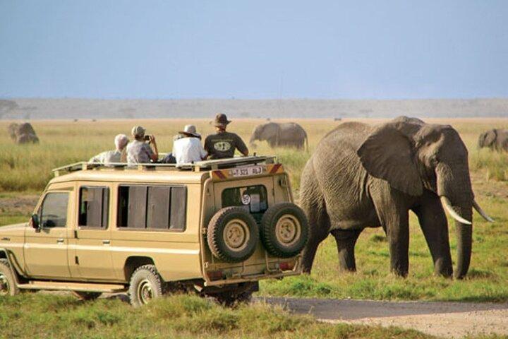 Halvdags Tala Game Reserve og Natal Lion Park fra Durban