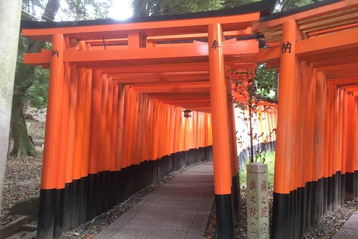 Visita guiada privada de medio día a Fushimi Inari Taisha