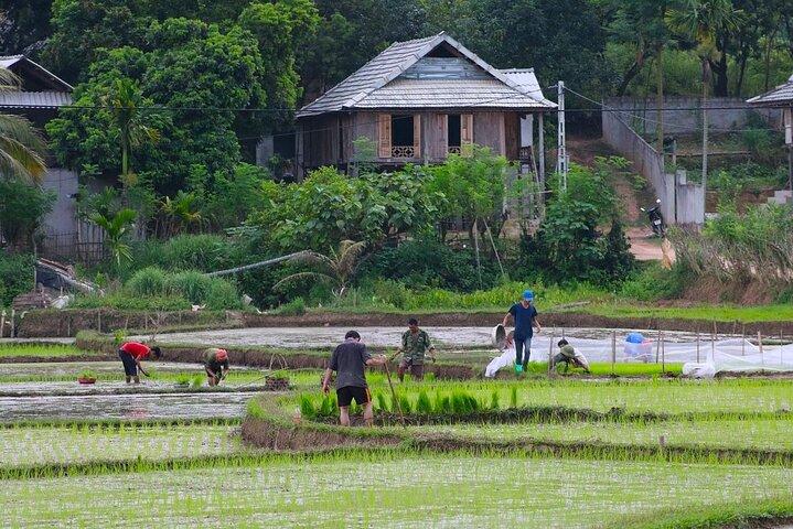 Hanoi nach Mai Chau : Entdecken Sie Schönheitsdörfer auf einer geführten Tagestour