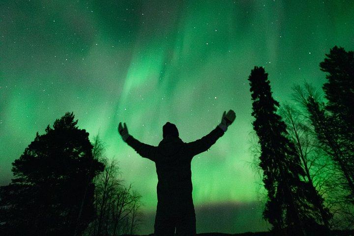 Rovaniemi : オーロラ狩り+写真&100%返金保証