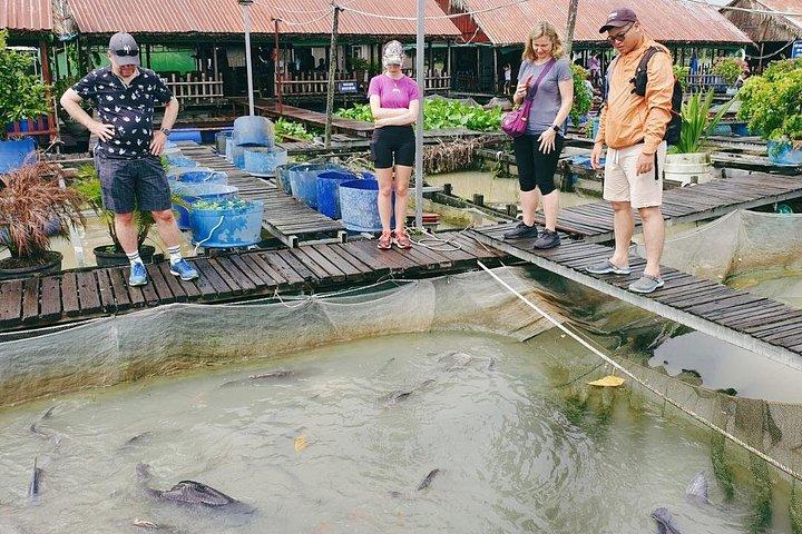 メコン川1日ツアー：ミトー - ベンチェ - カイラン水上マーケット