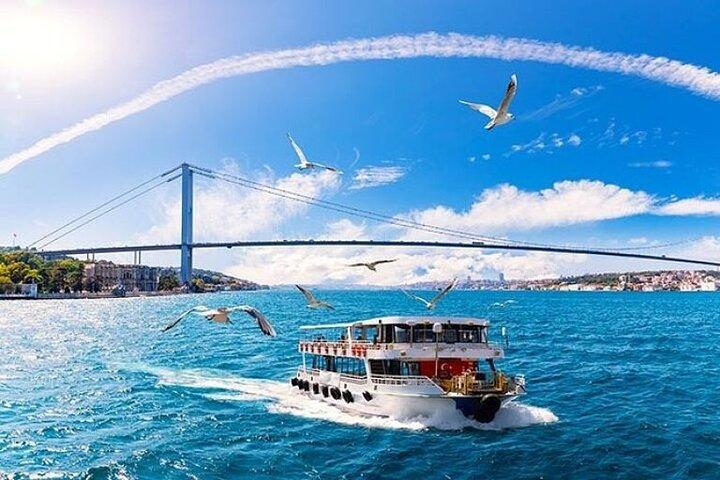 Visite guidée d'Istanbul d'une journée avec billets et déjeuner