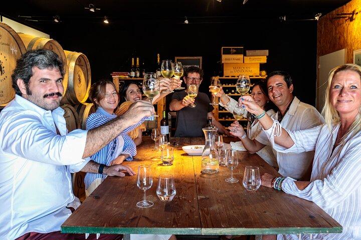 Lisbonne : Visite du vignoble de Carcavelos et dégustation de vins