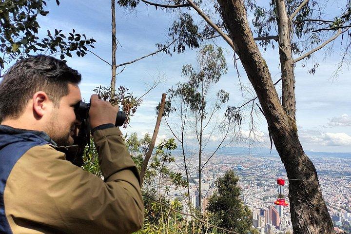 Vogels kijken bij Monserrate Bogotá 4H