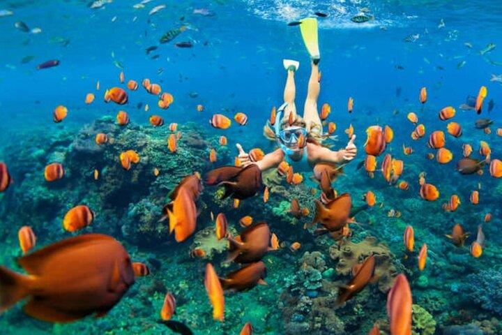 Nassau Sail and Snorkel with Open Tropical Bar