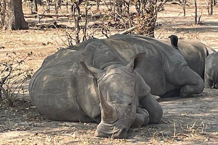 Victoria Falls & Safari Avventura: Tour di entrambi i lati + passeggiata Rhino