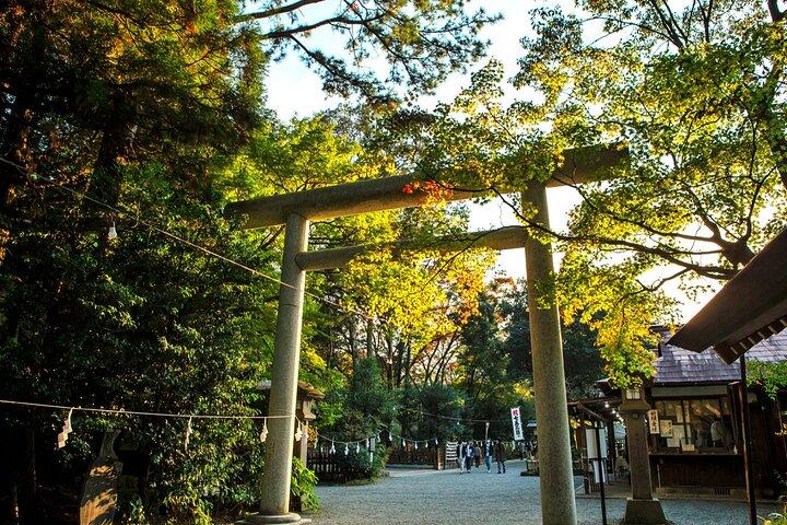 福岡発：宮崎・高千穂峡と神社日帰りツアー
