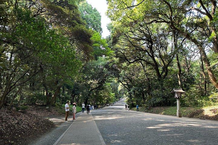 神聖な朝の散歩とブランチ明治神宮