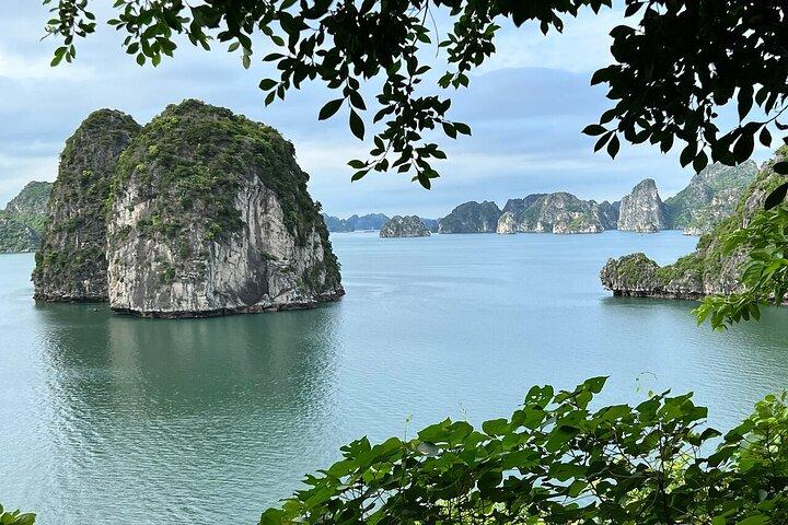 Bai Tu Long Bay Day Cruise med upphämtning från Ninh Binh