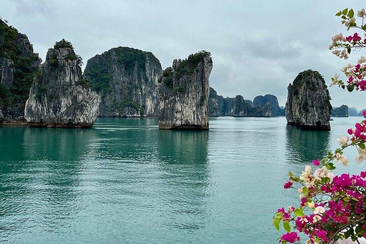 Bai Tu Long Bay Day Cruise med upphämtning från Ninh Binh