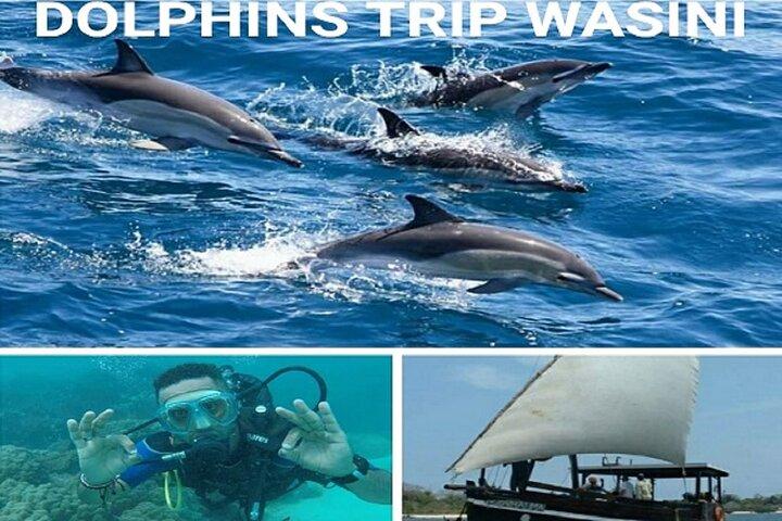 Viagem de um dia à Ilha Elky Wasini
