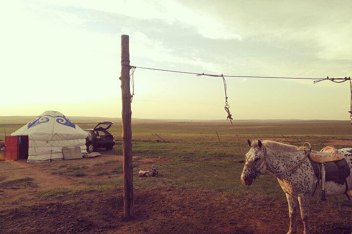 Huhhot Inner Mongolia 3 Days Xilamuren kubuqi Desert Nature Tour