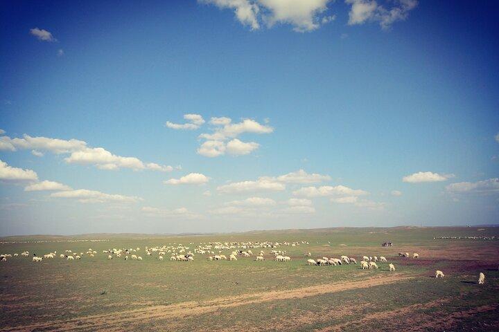 Huhhot Inner Mongolia 3 Days Xilamuren kubuqi Desert Nature Tour