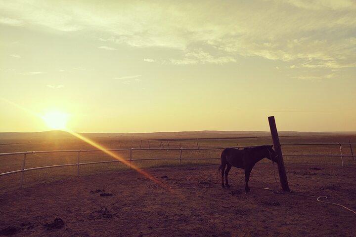 Huhhot Inner Mongolia 3 Days Xilamuren kubuqi Desert Nature Tour
