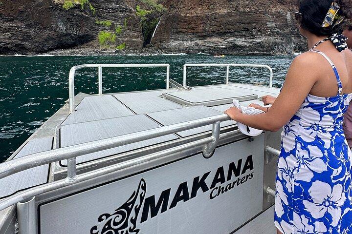 Kauai : Excursion en bateau NaPali sur l'Amelia K
