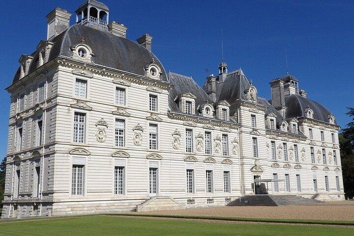Privé dagtocht van Parijs naar de Loirevallei