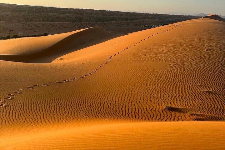 Privat Safari-tur og Wadi i 4x4 med en lokal guide