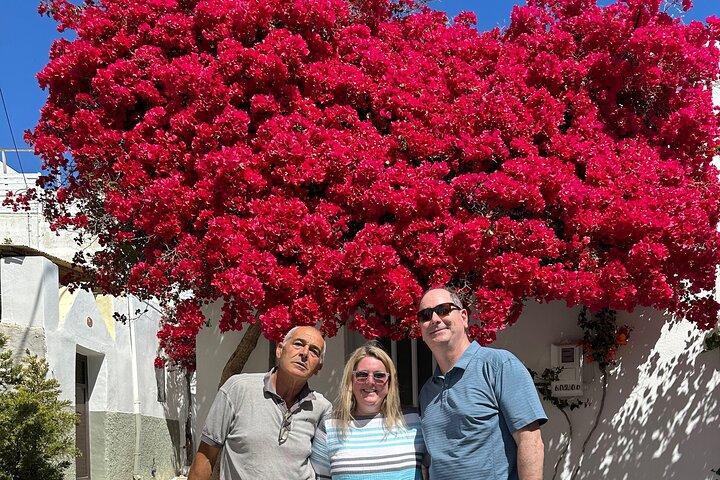 Private Tour auf der Insel Paros