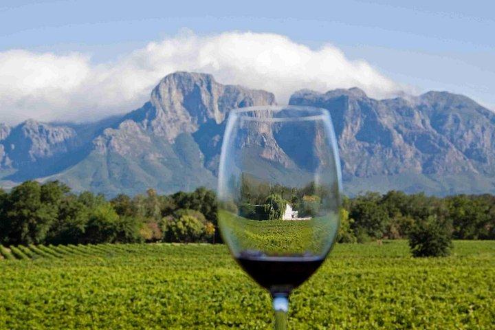 Cape Point and Groot Constantia Private Tour with Wine Tasting