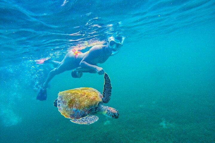 Jet Snorkeling a Porto Rico con tartarughe e video a San Juan