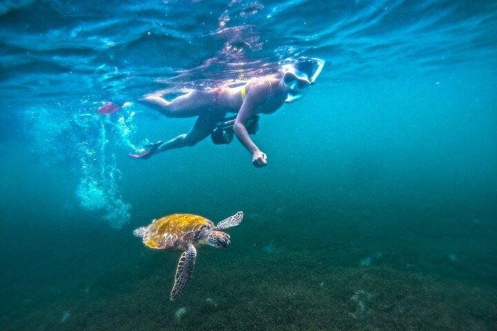 Jet Snorkeling a Porto Rico con tartarughe e video a San Juan