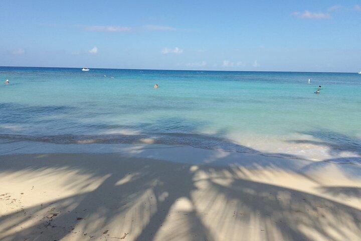 Preguiças e macacos Roatan Island e Beach Break privado
