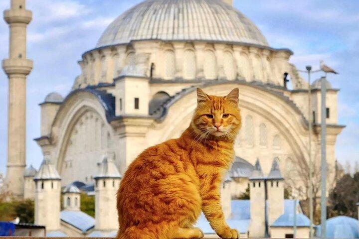 Tour Cultural Privado de Estambul : 1 o 2 - Experiencia a medida de día