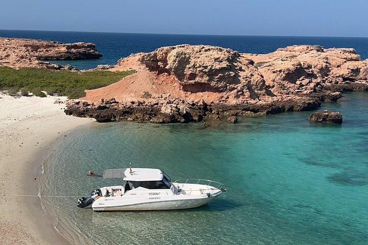 Snorkling i Daymaniat Island