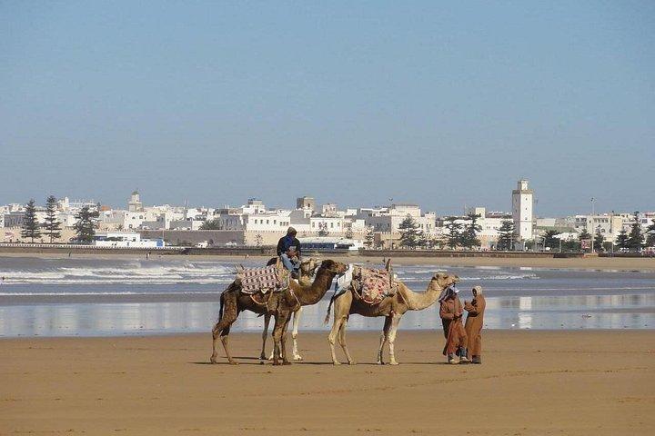 Essaouira Day Trip from Agadir