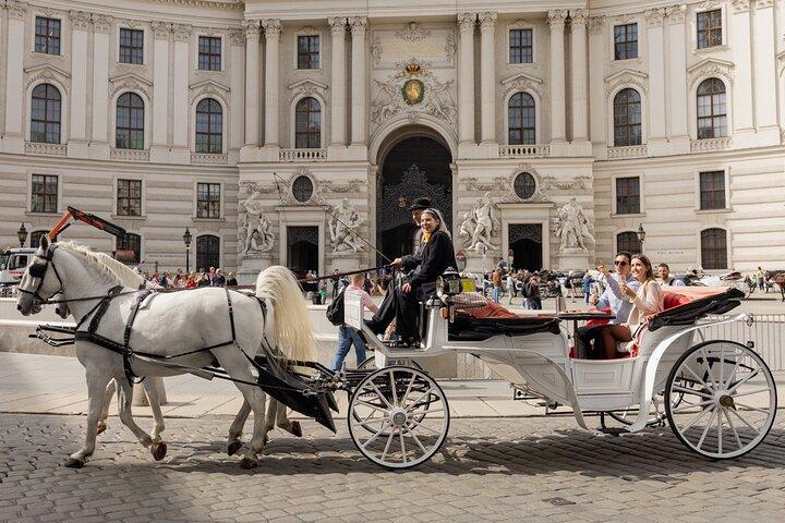 Passeio de carruagem puxada a cavalo em Viena com vinho espumante e comida