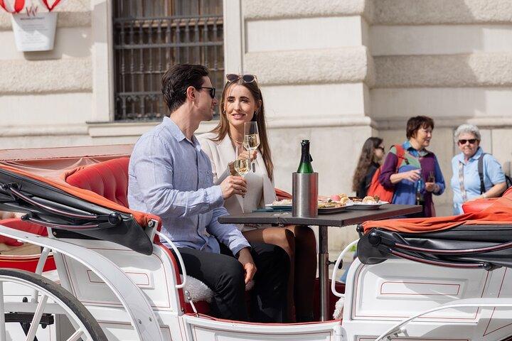 Giro in carrozza trainata da cavalli a Vienna con spumante e cibo