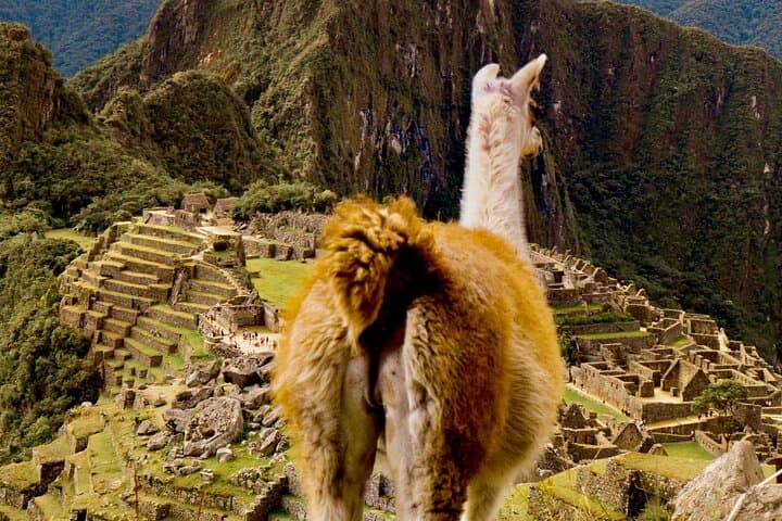 2 Days Tour to Machu Picchu by Train