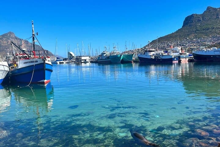 Full Day Private Tour in Cape Town