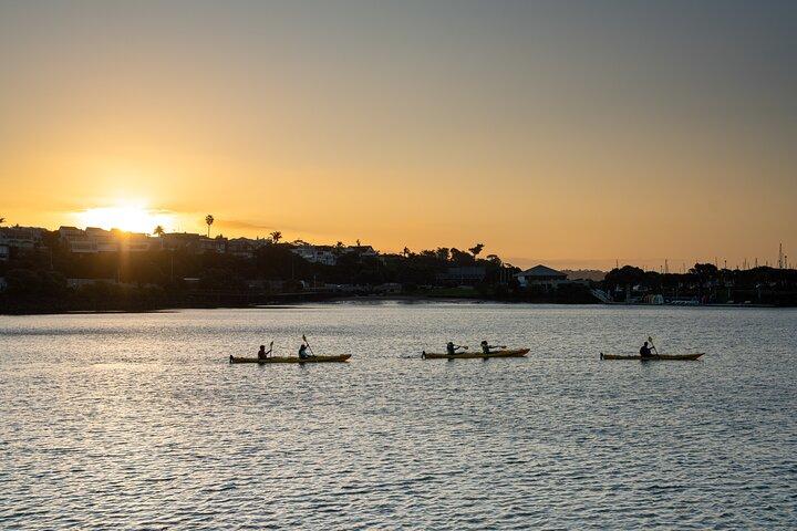 Excursion nocturne en kayak dans la ville illuminée d'Auckland