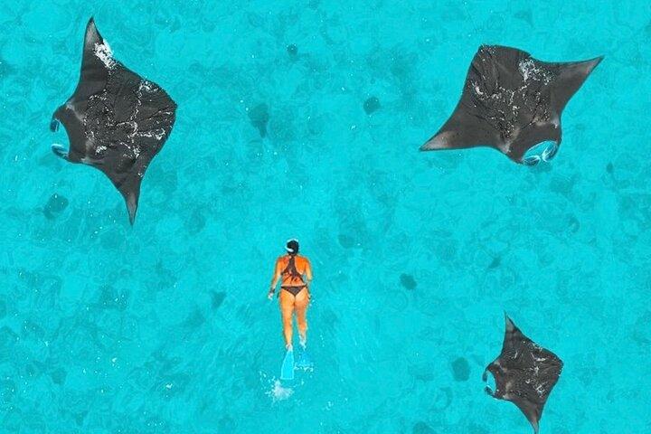 Schnorcheln am Manta Point und Tagestour zur Insel West Nusa Penida