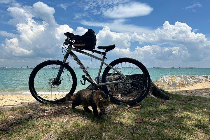 Singapore Beach City Cykeltur