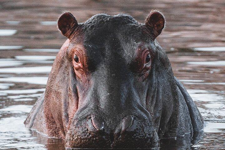Safari de 2 días en Tanzania en Tarangire y el cráter Ngorongoro