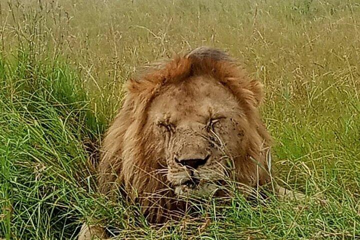 Campo safari di 5 giorni al cratere di Ngorongoro e al lago Manyara