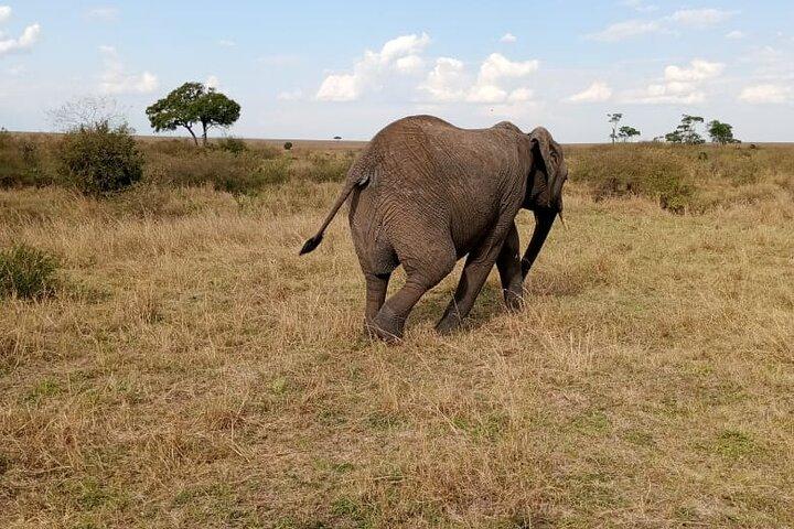 Campo safari di 5 giorni al cratere di Ngorongoro e al lago Manyara
