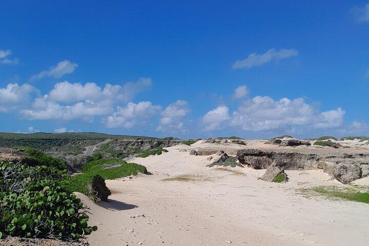 Private 4x4 Natural Pool, Caves & Baby Beach by Cross Aruba Tours